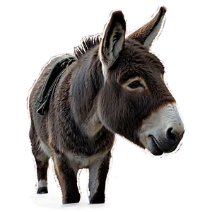 Hand Drawn Donkey PNG Mnp PNG