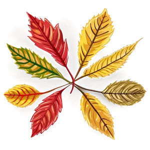 Hand Drawn Fallen Leaves PNG 40 PNG