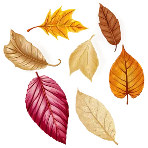 Hand Drawn Fallen Leaves PNG Aqp PNG