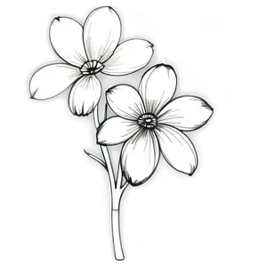 Hand-drawn Flower Black And White Png Yly PNG image