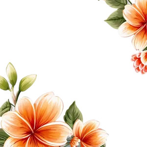 Hand Drawn Flower Border PNG Pig21