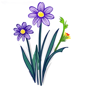 Hand-drawn Flower Illustration Png 06272024 PNG image