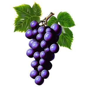 Hand Drawn Grapes PNG 28 PNG