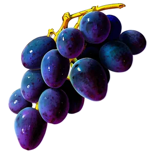 Hand Drawn Grapes PNG 32