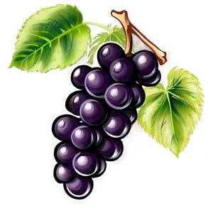 Hand Drawn Grapes PNG Vib79