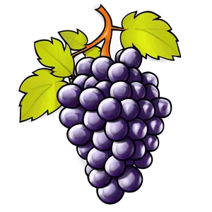 Hand Drawn Grapes PNG Yeo64 PNG