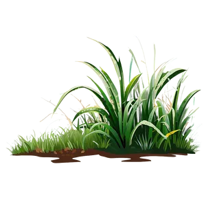 Hand Drawn Grass Clipart PNG 06272024 PNG