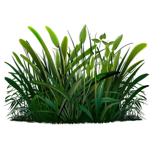 Hand-drawn Grass Illustration Png 04292024 PNG image