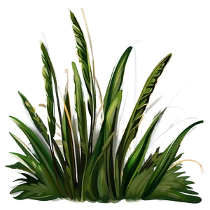 Hand-drawn Grass Illustration PNG Hch PNG