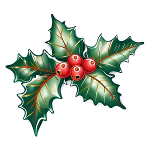 Hand Drawn Holly Png 05252024 PNG image