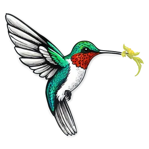 Hand-drawn Hummingbird Png 60 PNG image