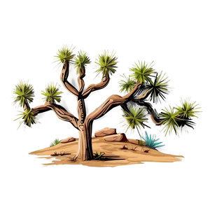 Hand-drawn Joshua Tree Illustration PNG 63 PNG