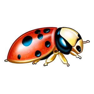 Hand Drawn Ladybug PNG 88