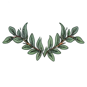 Hand Drawn Laurel Png 51 PNG image