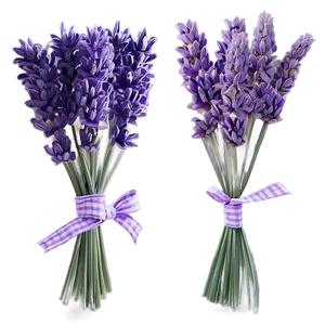 Hand Drawn Lavender Bouquet PNG 05062024