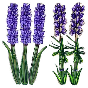 Hand Drawn Lavender Bouquet PNG Owo