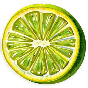 Hand Drawn Lime Slice Png Pkl9 PNG image