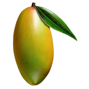 Hand Drawn Mango PNG 56
