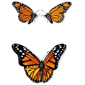 Hand Drawn Monarch Butterflies PNG 17 PNG