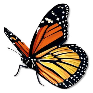 Hand Drawn Monarch Butterfly Png Ugs64 PNG image