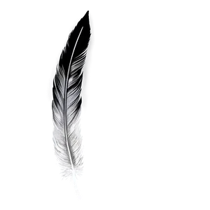 Hand-drawn Mono Feather Png 06242024 PNG image