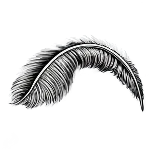 Hand-drawn Mono Feather Png Huf PNG image