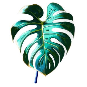 Hand Drawn Monstera PNG 05232024