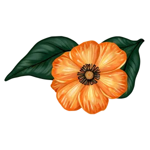 Hand-drawn Orange Floral PNG 92 PNG