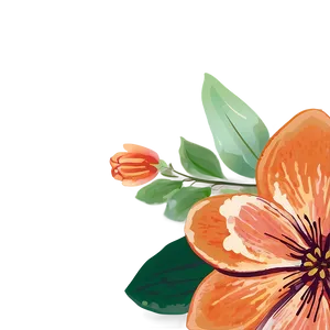 Hand-drawn Orange Floral Png Evn30 PNG image