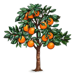 Hand Drawn Orange Tree PNG 06132024 PNG