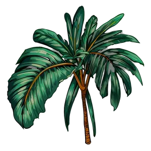 Hand Drawn Palm Leaves PNG 79
