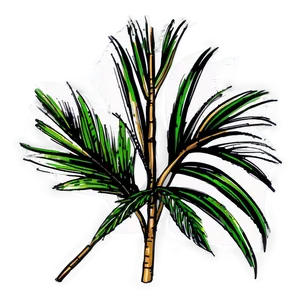 Hand Drawn Palm Leaves PNG Oky95