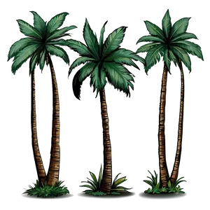 Hand Drawn Palm Trees PNG 05042024