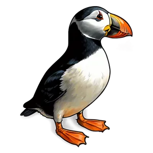 Hand Drawn Puffin Png 29 PNG image