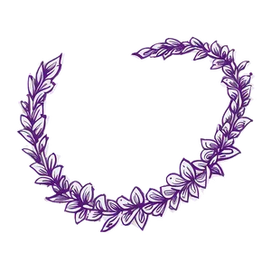 Hand Drawn Purple Doodle Border PNG Mdc PNG