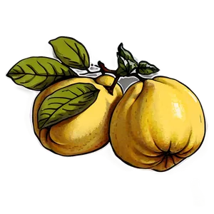 Hand-drawn Quince Sketch Png 06262024 PNG image