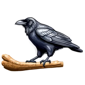 Hand-drawn Raven Sketch Png Ako PNG image