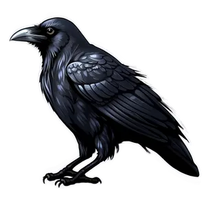 Hand-drawn Raven Sketch PNG Ows