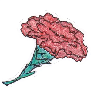 Hand Drawn Red Carnation PNG image