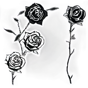 Hand-drawn Rose Black And White Png Qql PNG image