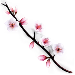 Hand Drawn Sakura PNG 50 PNG