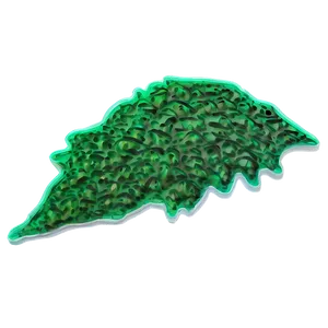 Hand-drawn Seaweed Sketch PNG 93
