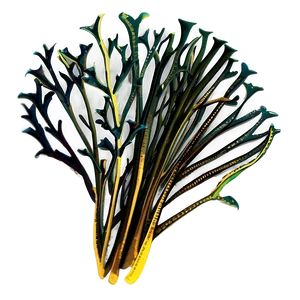 Hand-drawn Seaweed Sketch PNG Epg