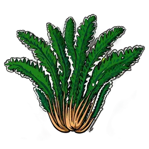 Hand-drawn Seaweed Sketch PNG Nuh