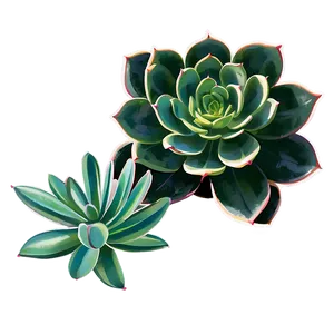 Hand Drawn Succulent Png 46 PNG image