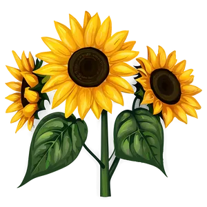 Hand Drawn Sunflower PNG Bpn29 PNG