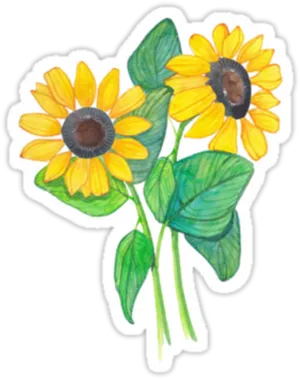 Hand Drawn Sunflowers Artwork PNG image