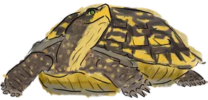 Hand Drawn Tortoise Illustration PNG image
