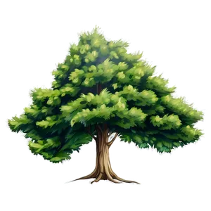 Hand Drawn Tree Elevation Png 85 PNG image