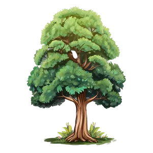 Hand Drawn Tree Elevation Png Ssg PNG image